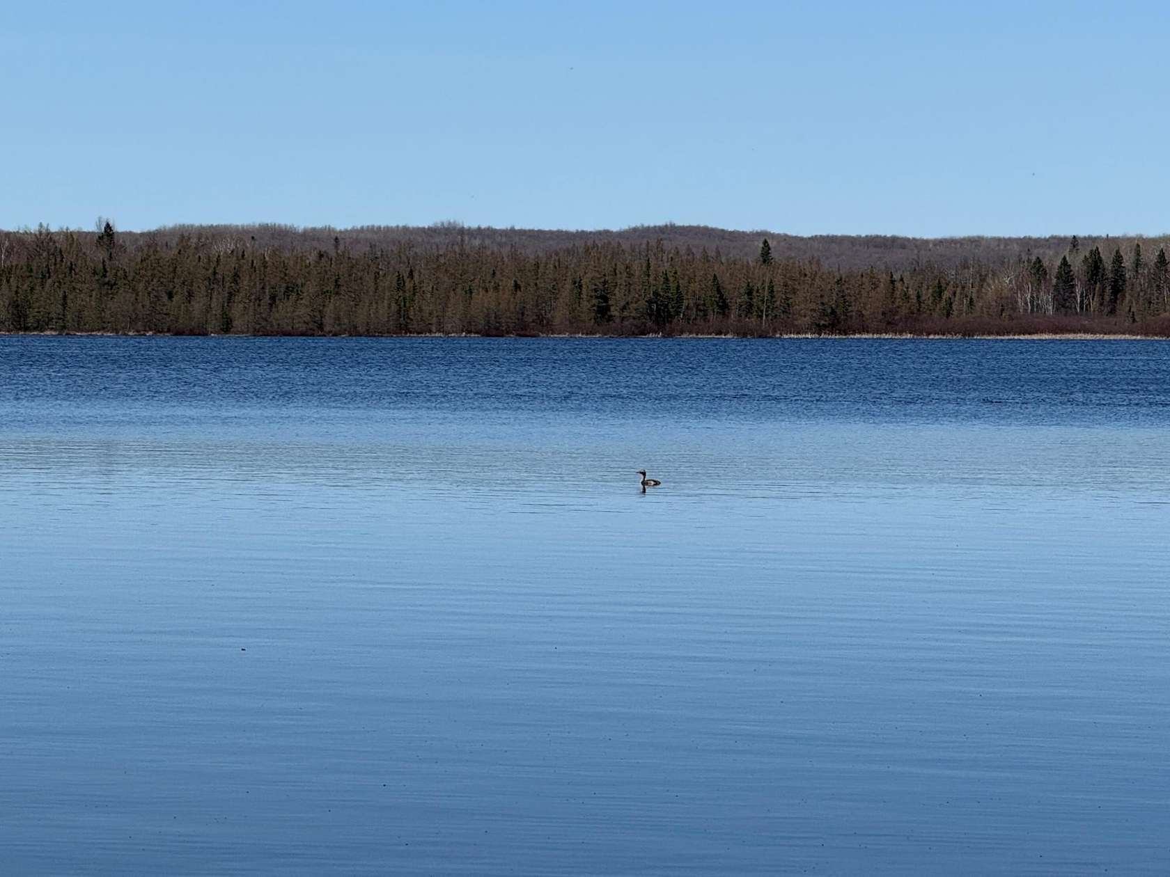 1.33 Acres of Land for Sale in Crandon, Wisconsin