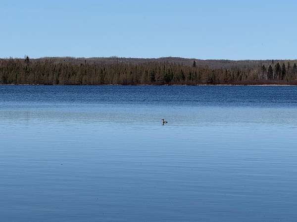 1.33 Acres of Land for Sale in Crandon, Wisconsin