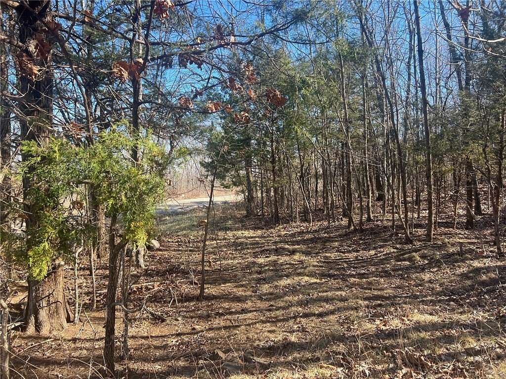 21.7 Acres of Recreational Land for Sale in Jasper, Arkansas