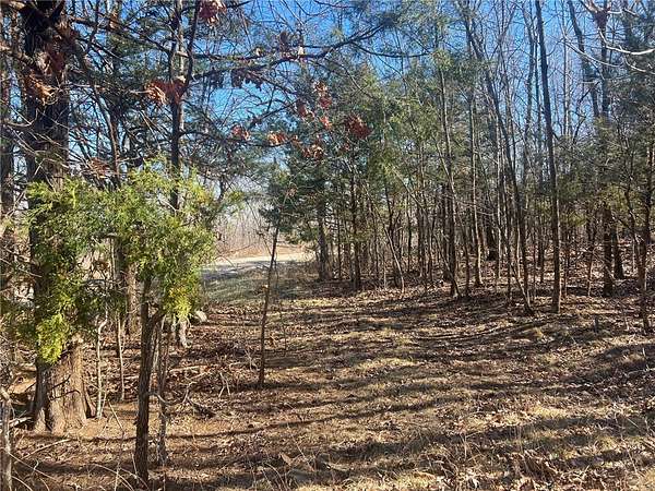 21.7 Acres of Recreational Land for Sale in Jasper, Arkansas