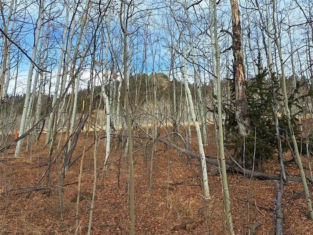 2 Acres of Residential Land for Sale in Jefferson, Colorado