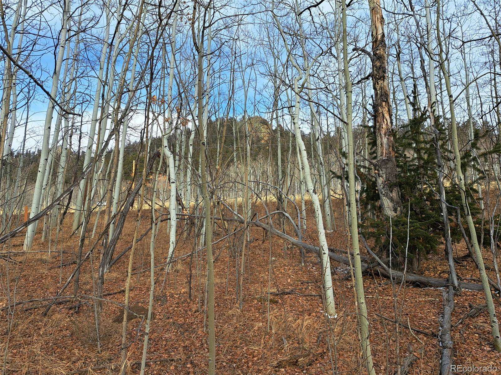 2 Acres of Residential Land for Sale in Jefferson, Colorado