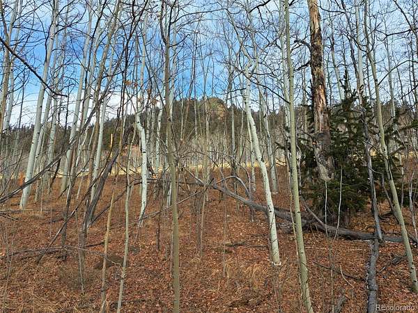 2 Acres of Residential Land for Sale in Jefferson, Colorado