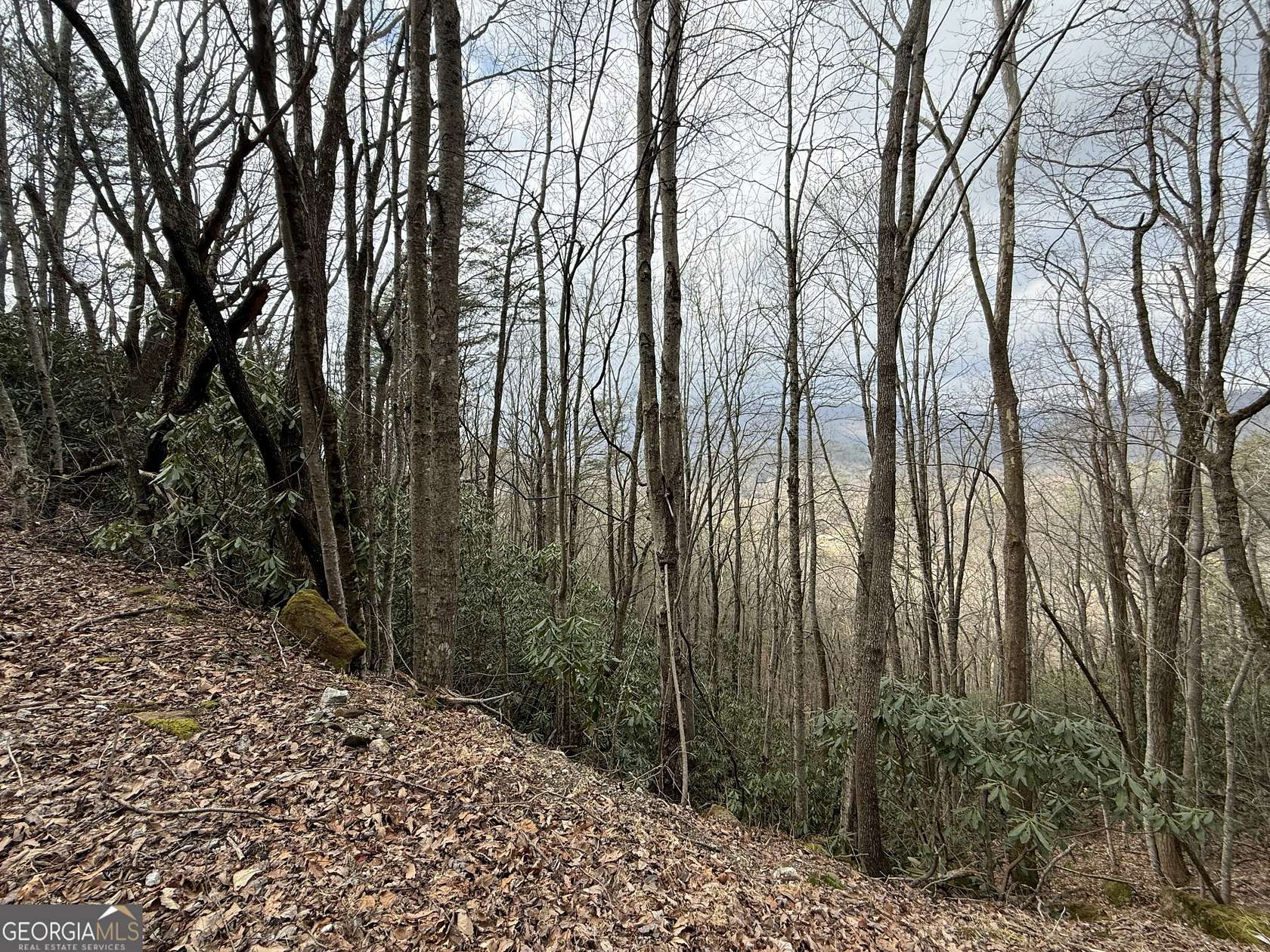 0.44 Acres of Residential Land for Sale in Clayton, Georgia