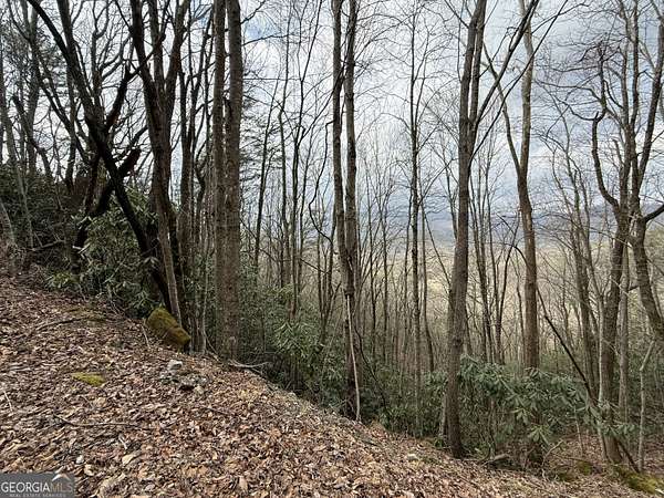 0.44 Acres of Residential Land for Sale in Clayton, Georgia