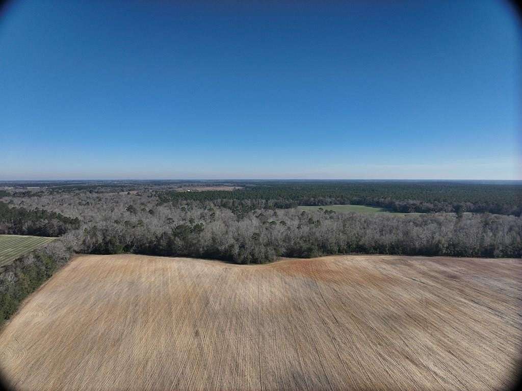 99.5 Acres of Land for Sale in Colquitt, Georgia