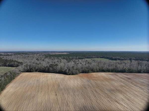 99.5 Acres of Land for Sale in Colquitt, Georgia