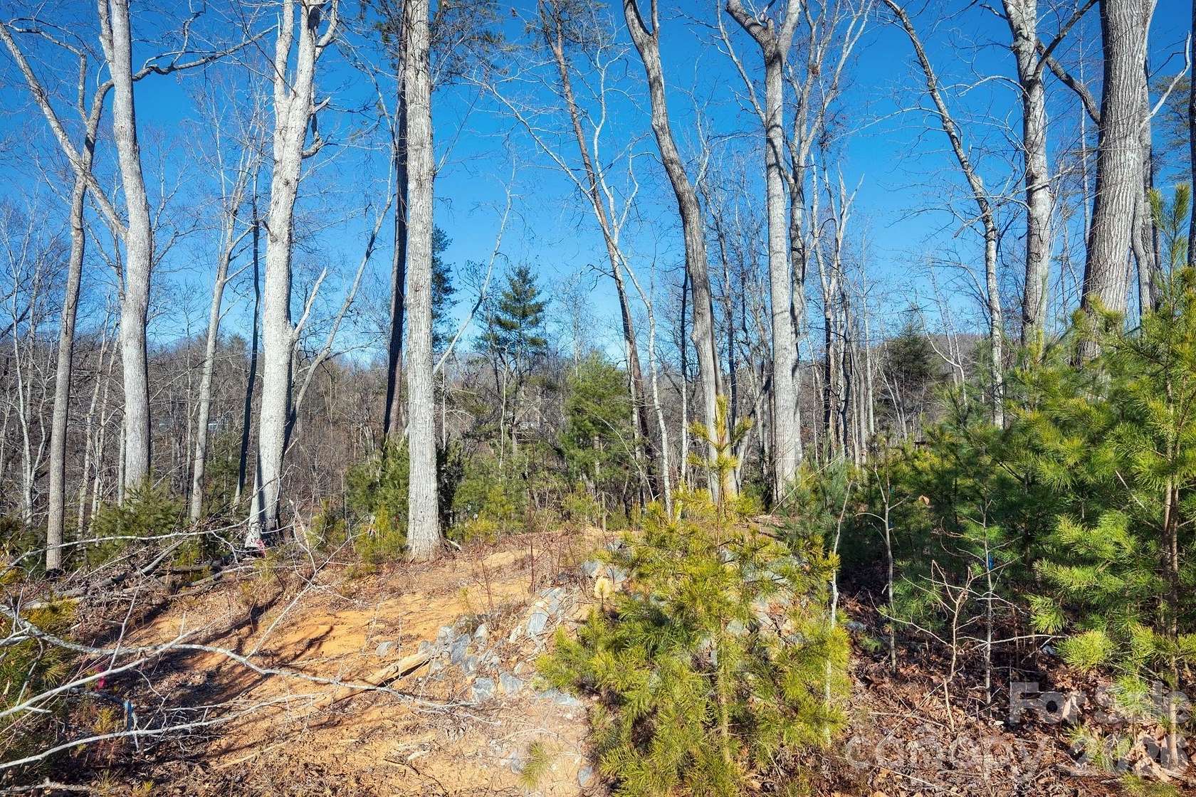 0.42 Acres of Residential Land for Sale in Asheville, North Carolina
