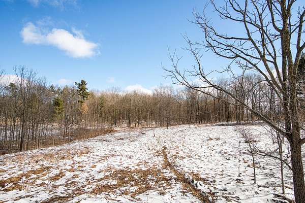 13.7 Acres of Land for Sale in Rockford, Michigan