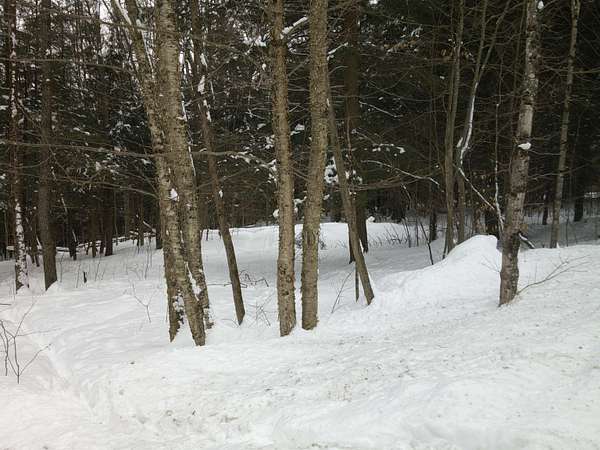 1.5 Acres of Residential Land for Sale in Johnson, Vermont