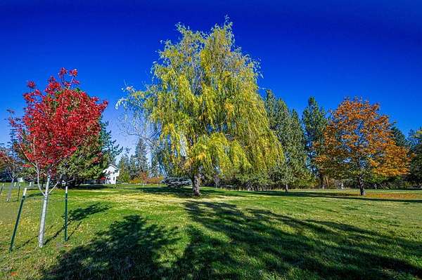 1 Acre of Residential Land for Sale in Missoula, Montana