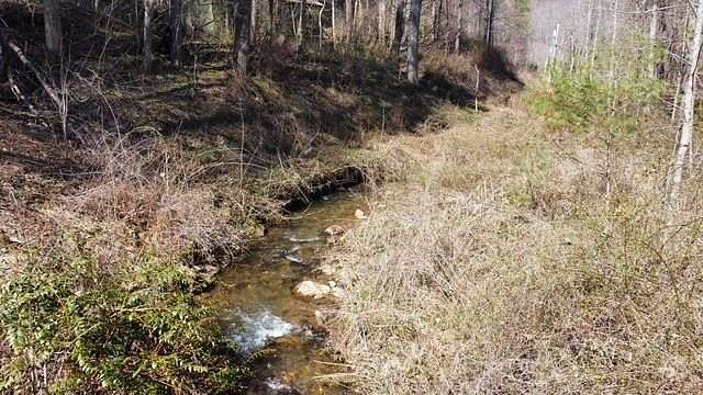 10.9 Acres of Land for Sale in Sylva, North Carolina