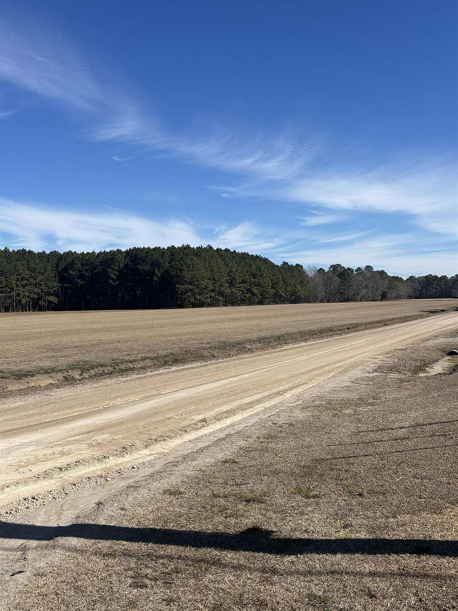 1 Acre of Residential Land for Sale in Green Sea, South Carolina