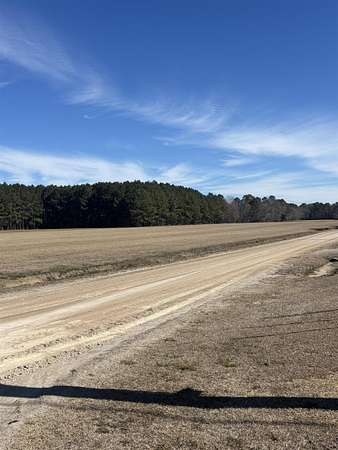 1 Acre of Residential Land for Sale in Green Sea, South Carolina
