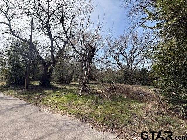 0.24 Acres of Residential Land for Sale in Tyler, Texas