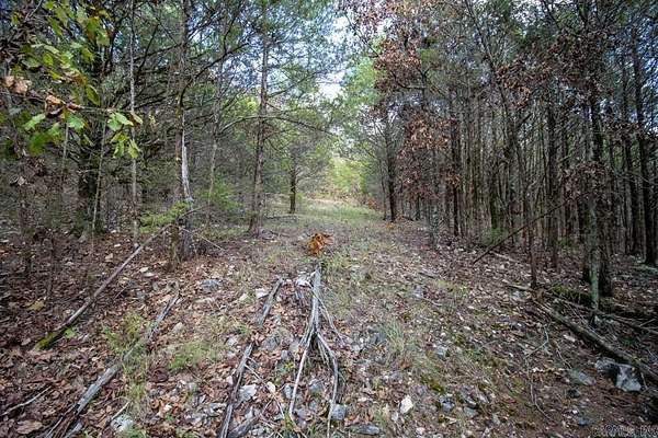 40 Acres of Land for Sale in Mammoth Spring, Arkansas