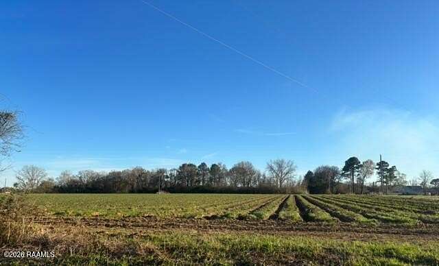 42.4 Acres of Land for Sale in Abbeville, Louisiana