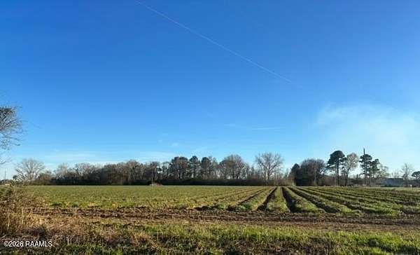 42.4 Acres of Land for Sale in Abbeville, Louisiana