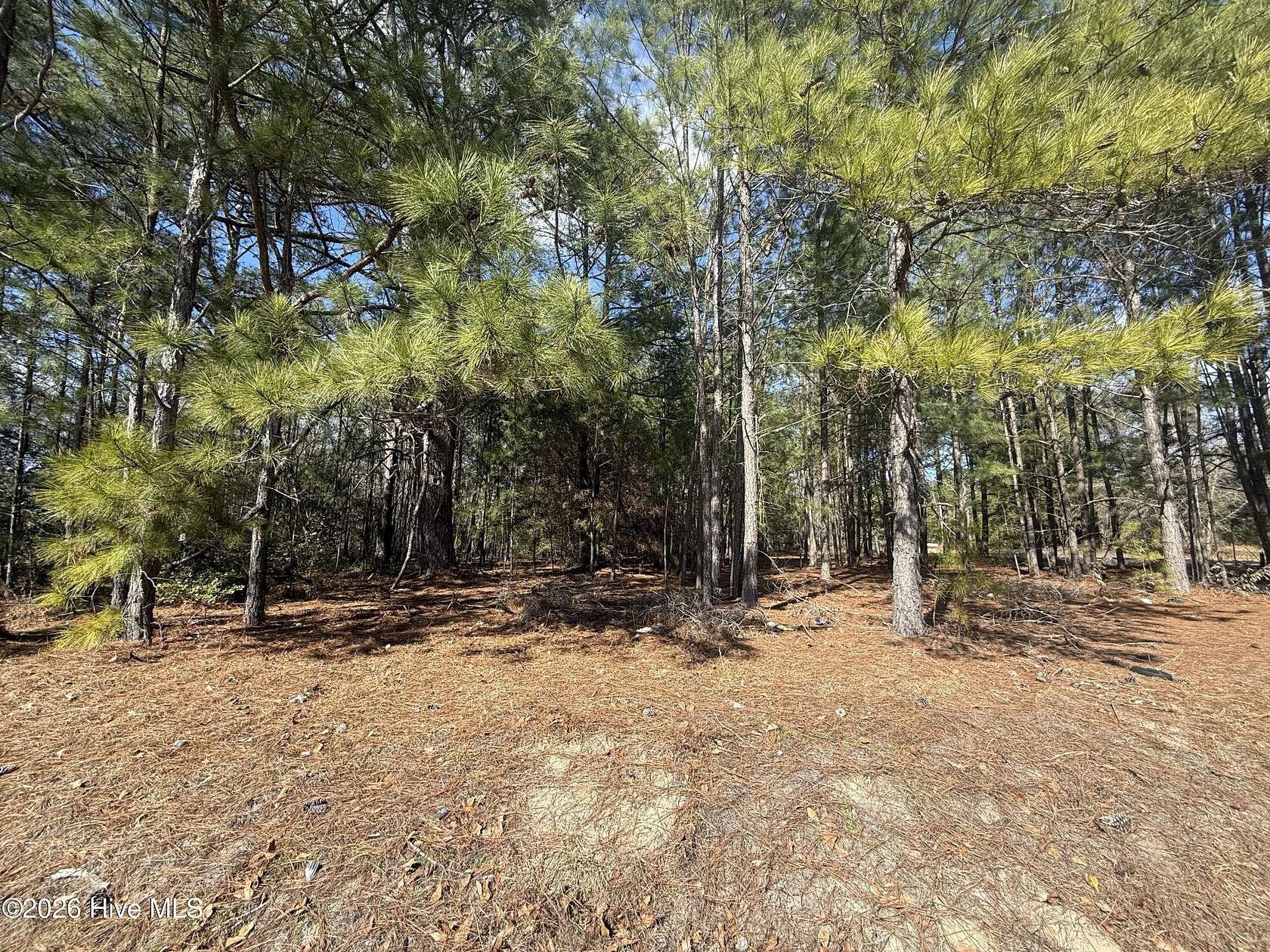 0.56 Acres of Residential Land for Sale in Rockingham, North Carolina