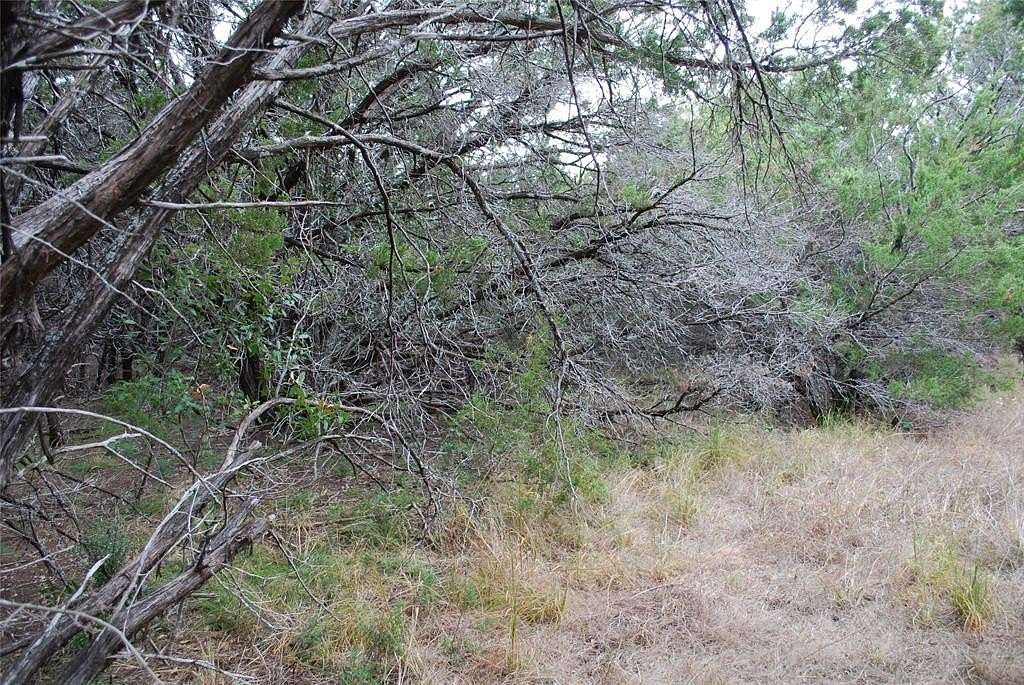 0.42 Acres of Residential Land for Sale in Whitney, Texas