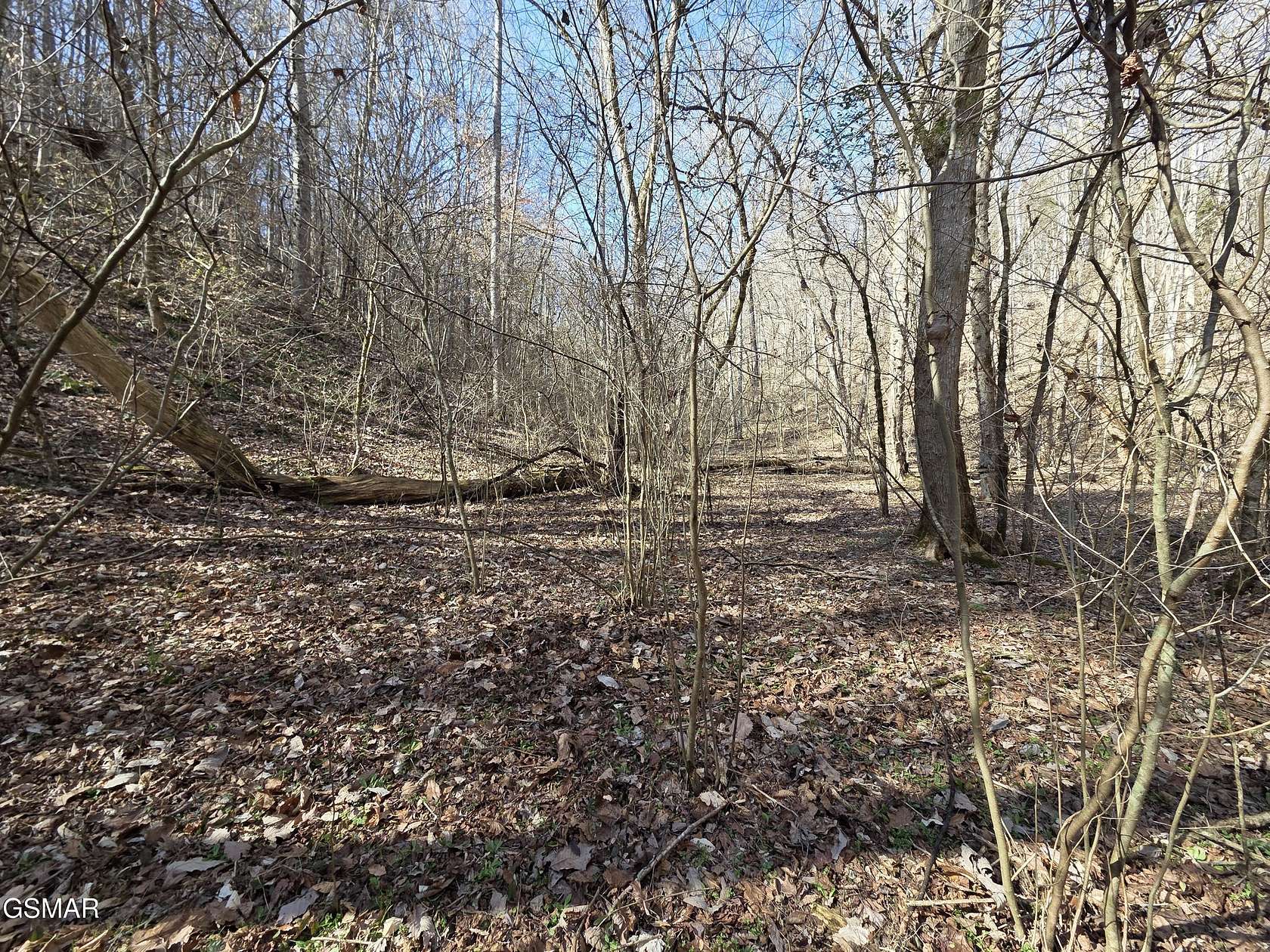 15.1 Acres of Recreational & Residential Land for Sale in Newport, Tennessee