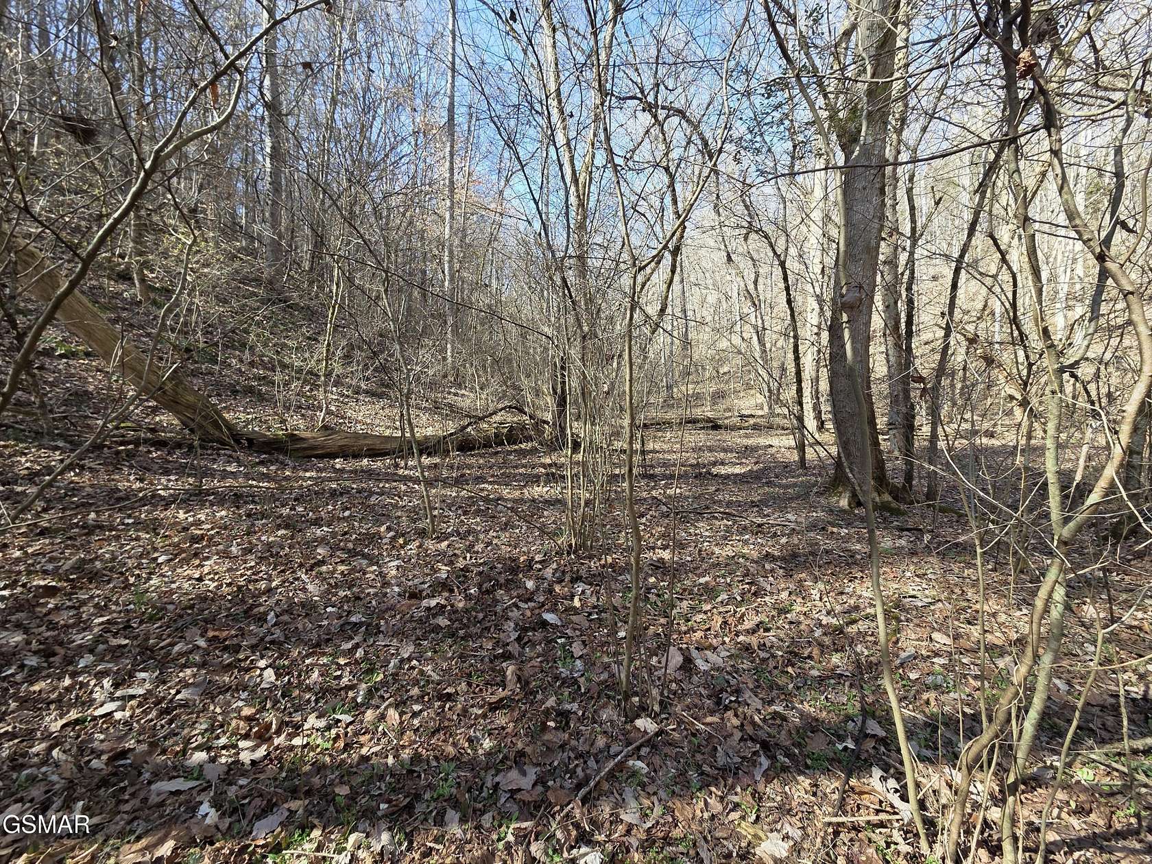 15.1 Acres of Land for Sale in Newport, Tennessee