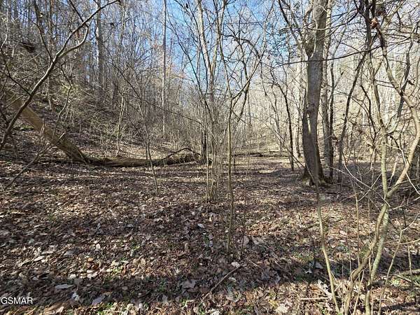 15.1 Acres of Recreational & Residential Land for Sale in Newport, Tennessee