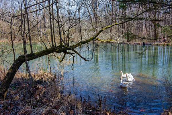 10 Acres of Land with Home for Sale in Whitwell, Tennessee