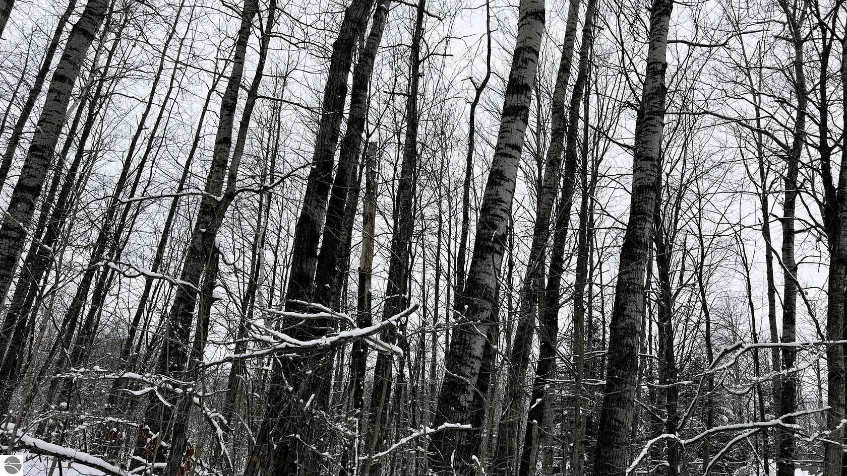 0.74 Acres of Residential Land for Sale in Mancelona, Michigan