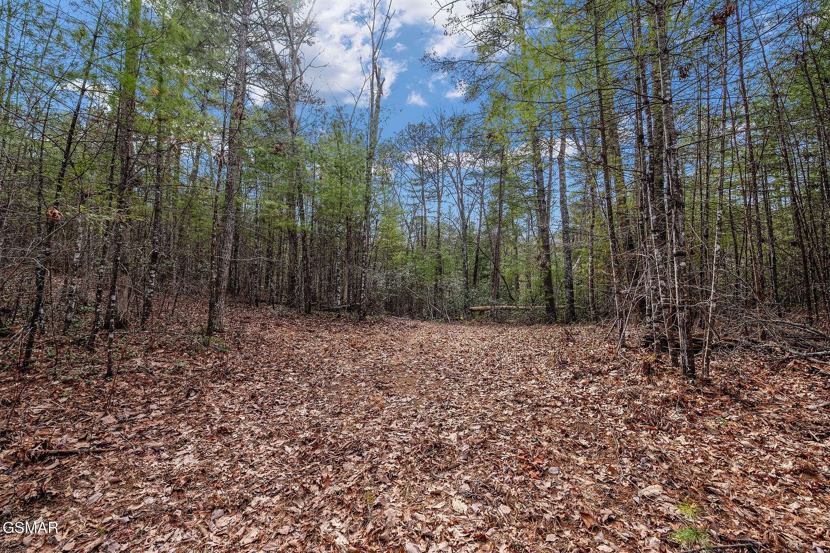 5 Acres of Residential Land for Sale in Sevierville, Tennessee