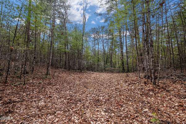 5 Acres of Residential Land for Sale in Sevierville, Tennessee