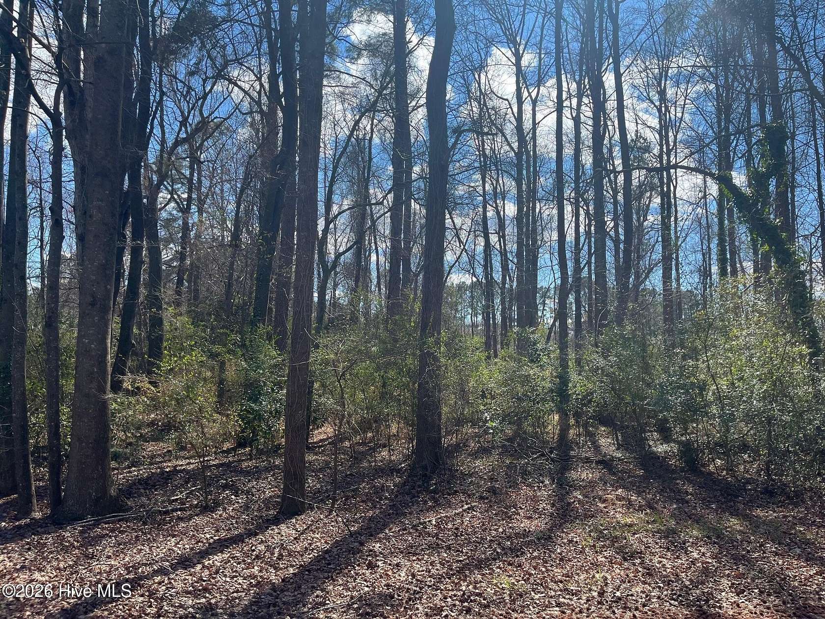 0.92 Acres of Residential Land for Sale in Kinston, North Carolina