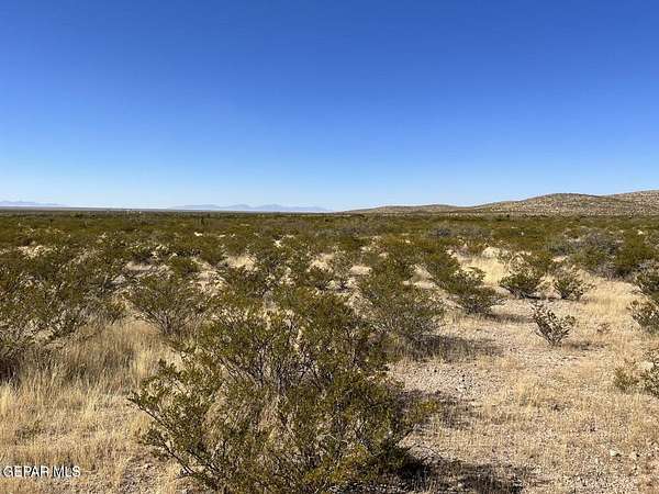 20 Acres of Recreational Land for Sale in Acala, Texas