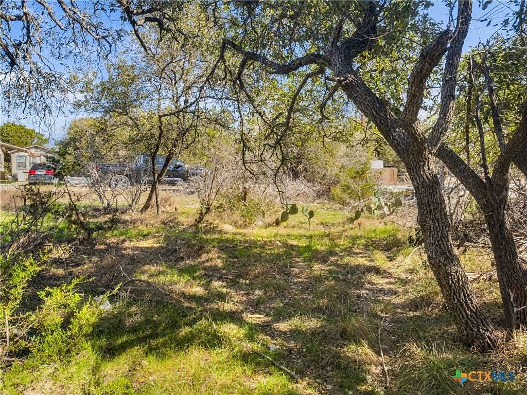 0.22 Acres of Land for Sale in Spring Branch, Texas