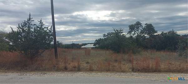 0.31 Acres of Land for Sale in Blanco, Texas