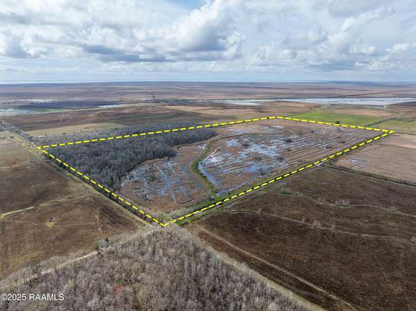80 Acres of Recreational Land for Sale in Abbeville, Louisiana