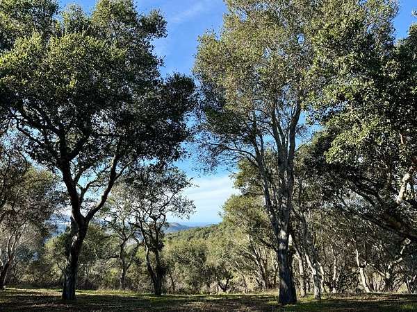 43.5 Acres of Land for Sale in Carmel Valley, California