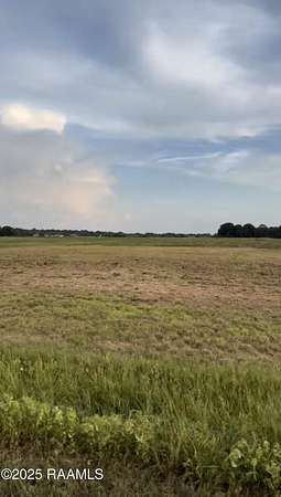 3 Acres of Land for Sale in Iota, Louisiana