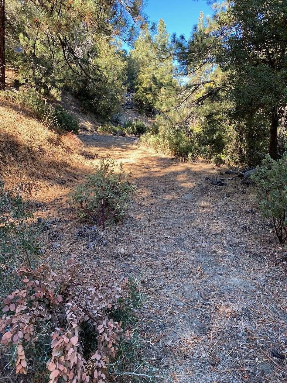 1.57 Acres of Residential Land for Sale in Idyllwild, California