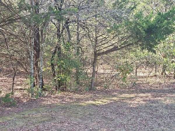 0.7 Acres of Residential Land for Sale in Burneyville, Oklahoma