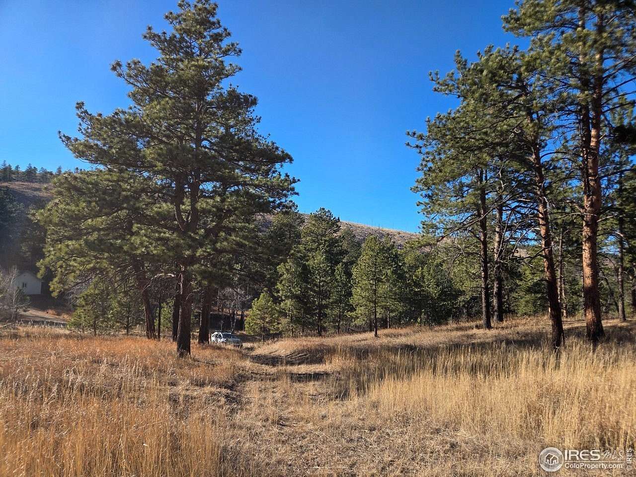 6.79 Acres of Residential Land for Sale in Bellvue, Colorado