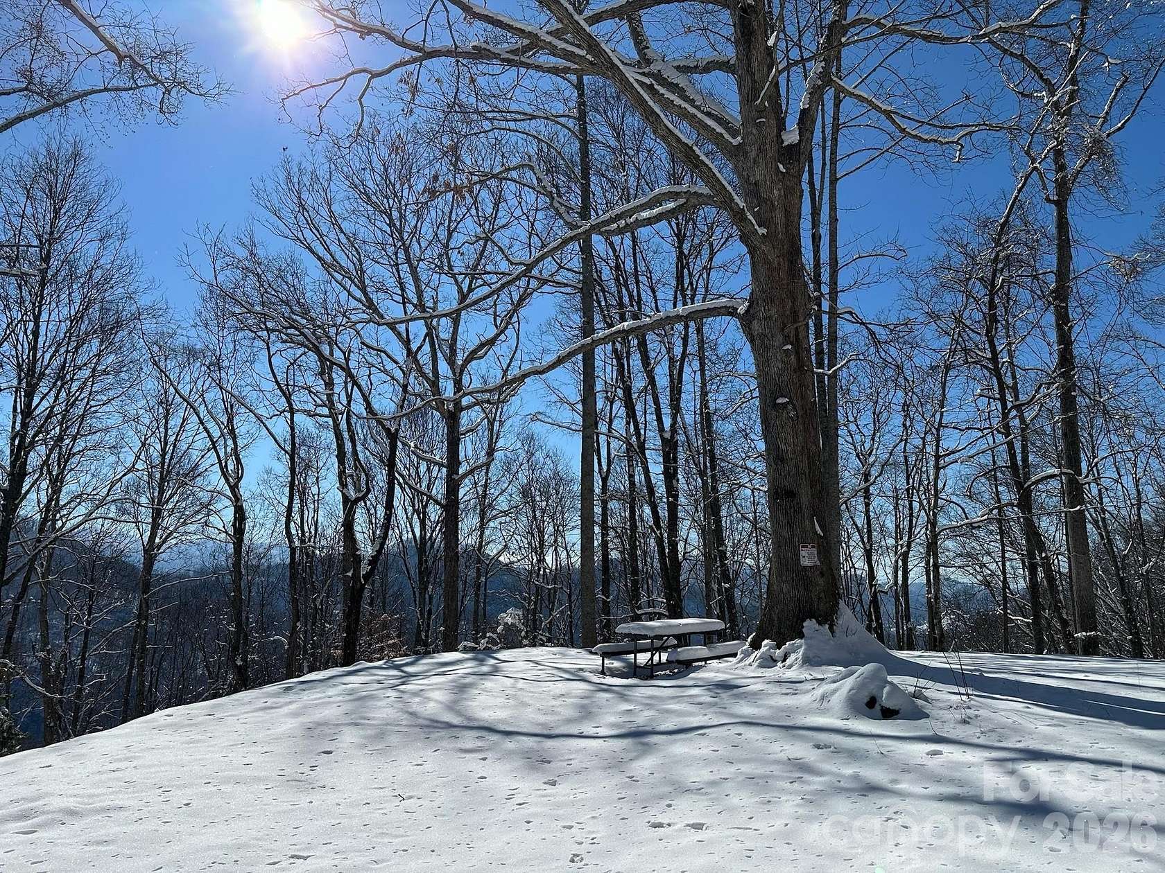 104 Acres of Recreational & Residential Land for Sale in Barnardsville, North Carolina