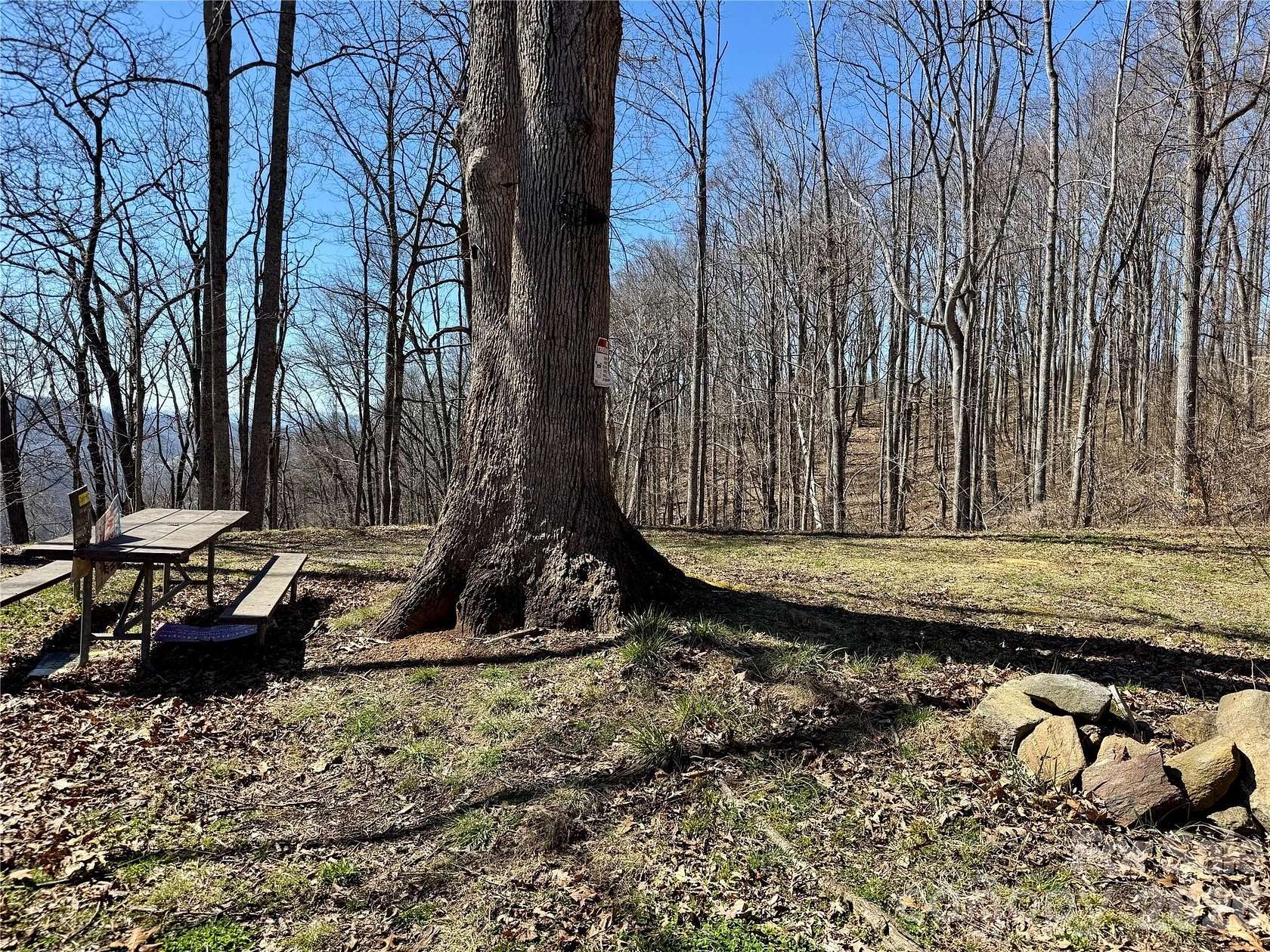 104 Acres of Recreational & Residential Land for Sale in Barnardsville, North Carolina