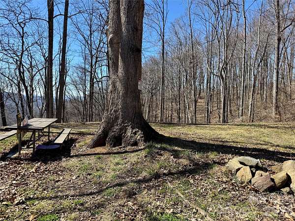 104 Acres of Recreational & Residential Land for Sale in Barnardsville, North Carolina