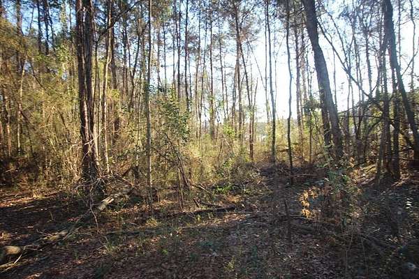 2.9 Acres of Commercial Land for Sale in Laurel, Mississippi
