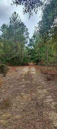 0.19 Acres of Residential Land for Sale in Interlachen, Florida