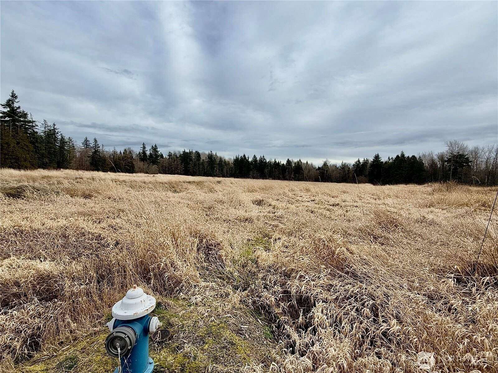 8.1 Acres of Residential Land for Sale in Blaine, Washington