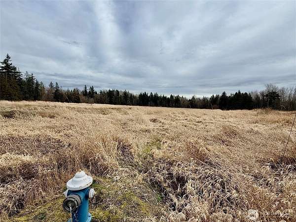 8.1 Acres of Residential Land for Sale in Blaine, Washington