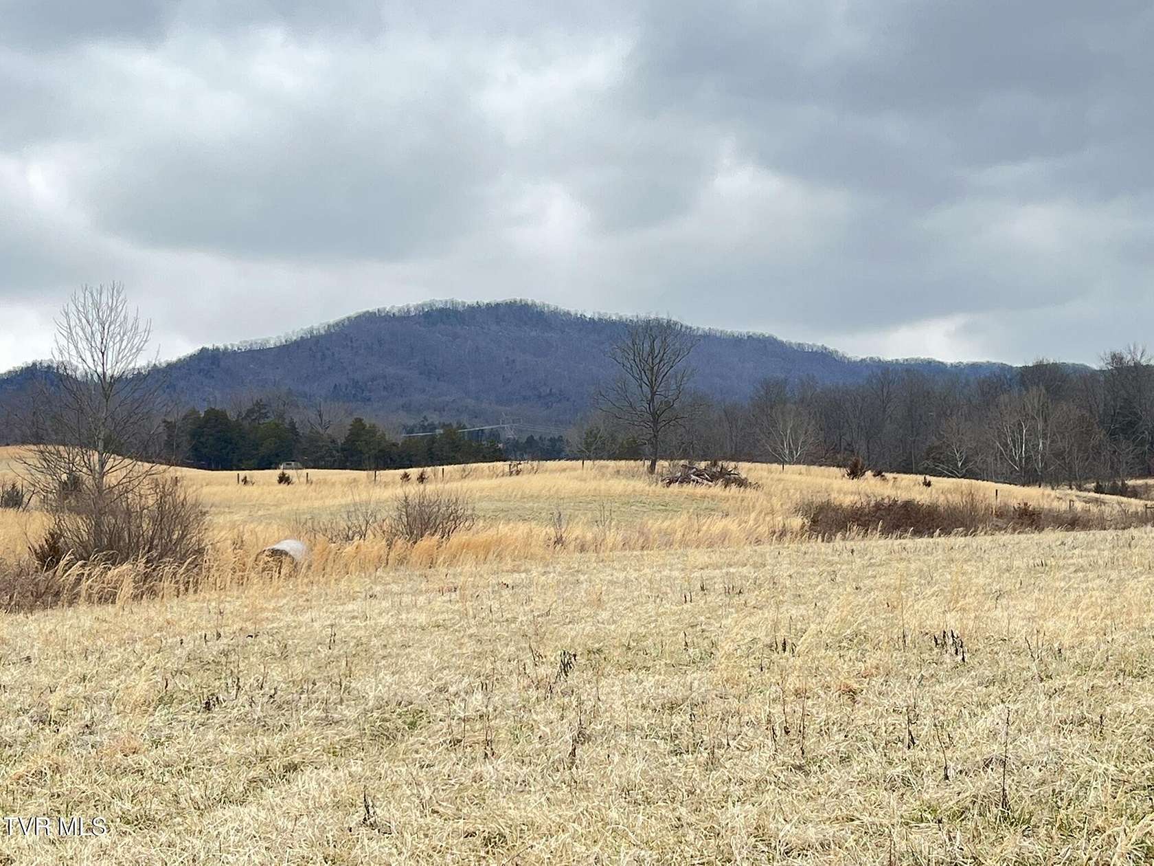 52 Acres of Recreational & Residential Land for Sale in Greeneville, Tennessee