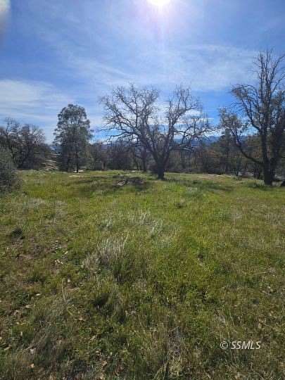 0.69 Acres of Residential Land for Sale in Wofford Heights, California